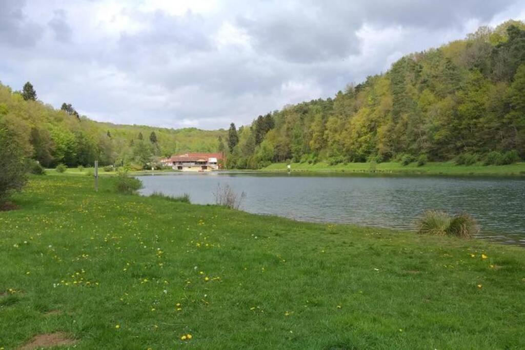 Le repaire des hérissons Vallée de Rabais Virton Extérieur photo